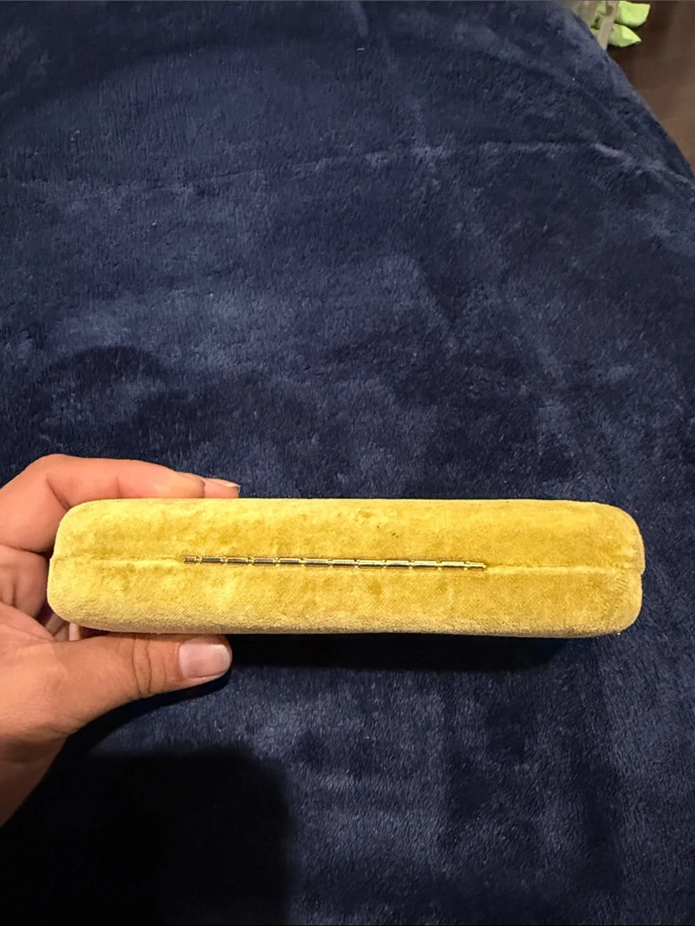 Gucci Yellow Velvet Eyewear Case